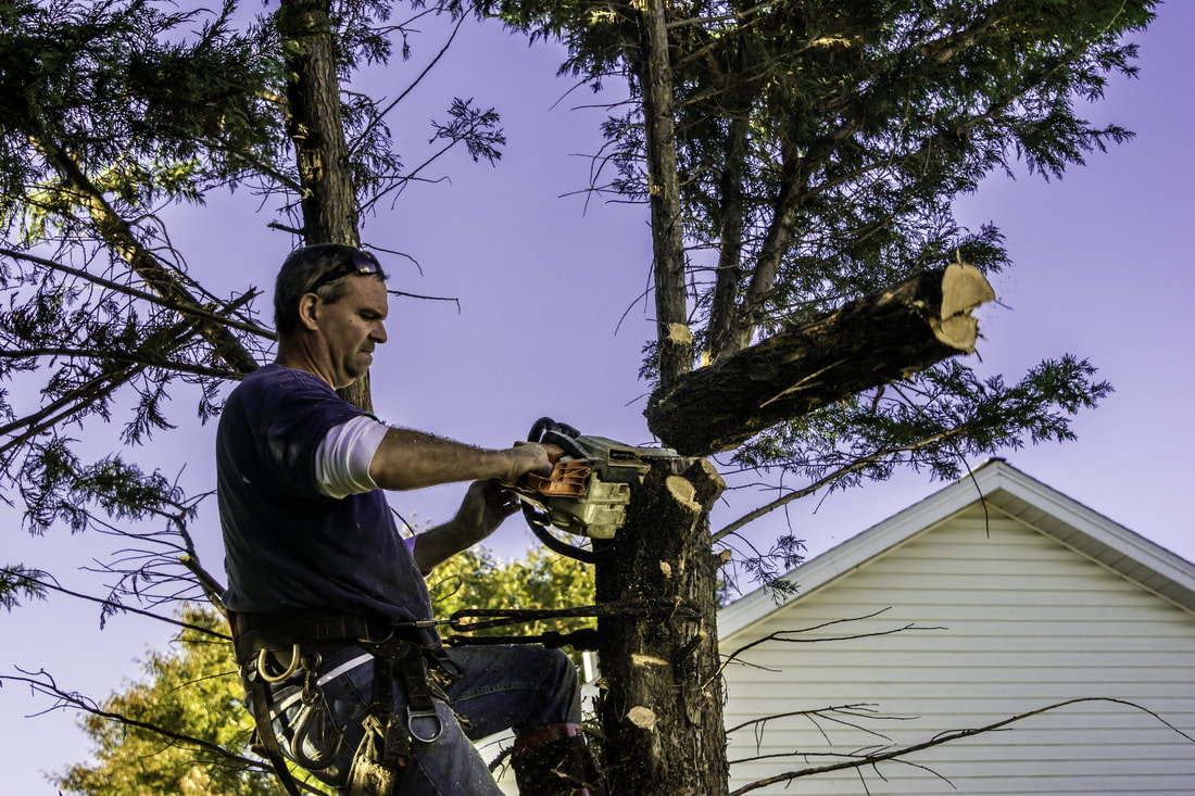 Tree Removal Bend Oregon – Tree Removal Bend Oregon is the name you ...